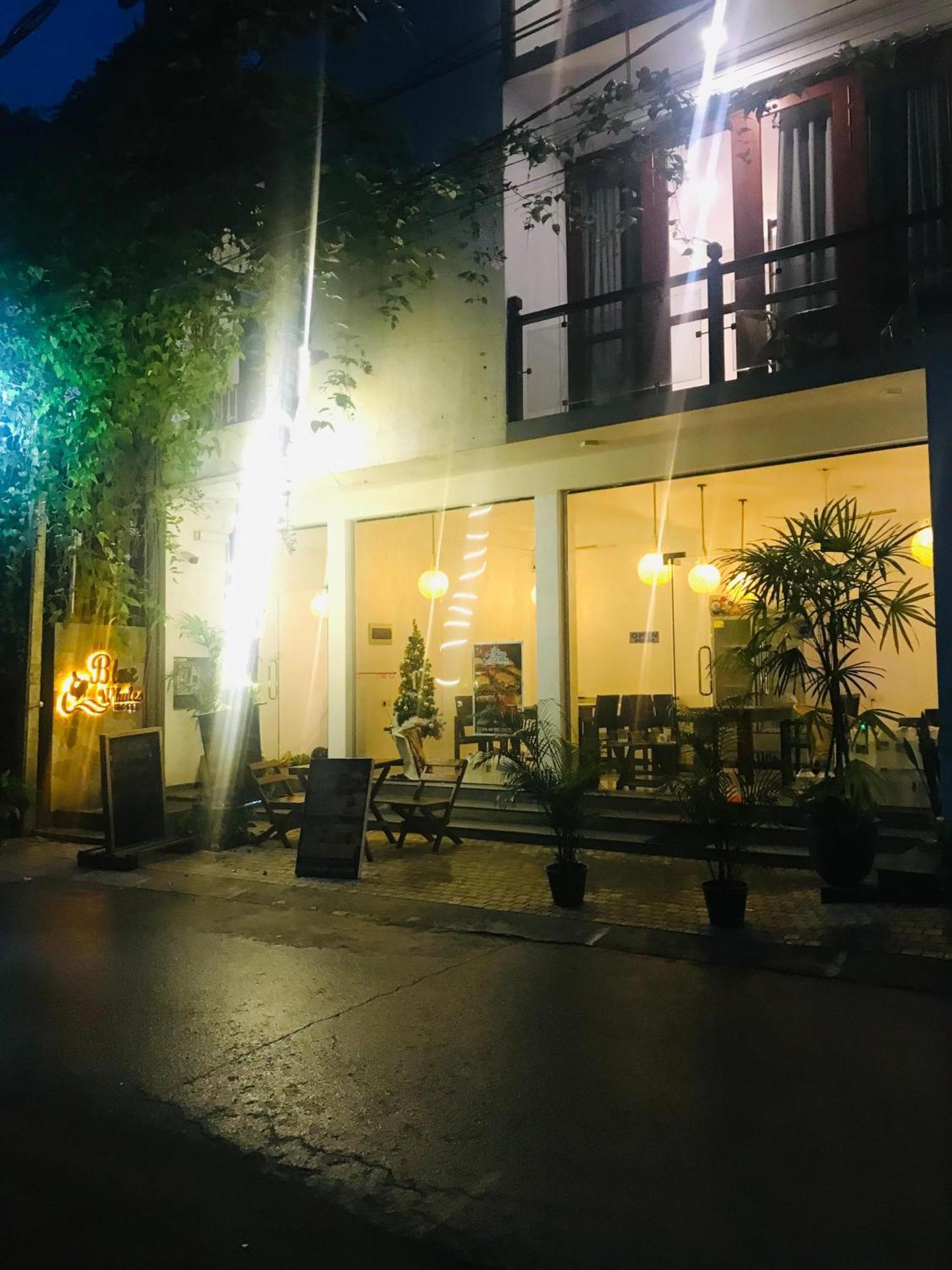 Blue Whales Hotel Hikkaduwa Zewnętrze zdjęcie